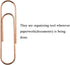 HAHIYO Paper Clips, Sturdy 4 Inches Length, 14 Pack Heavy Duty Rust Proof Reusable Metal Bright Rose Gold