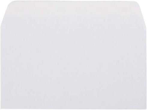 Staples 862857 EasyClose Security-Tint Envelopes - #6-3/4-Inch 100/Box
