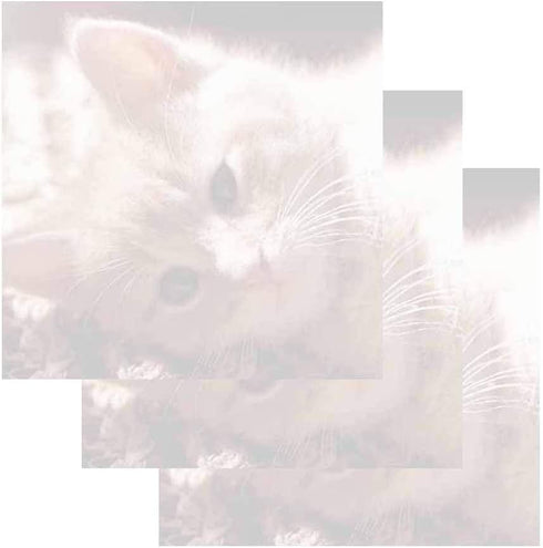 Kitten Face Sticky Notes - Set of 3 Animal Cat Theme Design, Paper Memo Pad for Office School Supplies