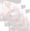 Kitten Face Sticky Notes - Set of 3 Animal Cat Theme Design, Paper Memo Pad for Office School Supplies