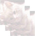 Kitten Face Sticky Notes - Set of 3 Animal Cat Theme Design, Paper Memo Pad for Office School Supplies