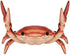 JIANSHUILIAN 1 Pc Red Creative Crab Pen Holder Weightlifting Crabs Pen Stand Storage