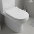 MinSha 17 14 inches, D-shaped/U-shaped toilet seat, x soft close silent cover, heavy-duty PP material, quick release