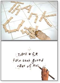 Set 3 Dog Speak Pet Sitter Thank You Card "Worlds Greatest," "Favorite," & "Thank You" Cards with Envelopes