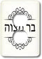 3dRose lsp_165031_6 Outlet Cover, Bar Mitzvah Written in Hebrew, Black and White Fancy Ivrit Text, Multicolor