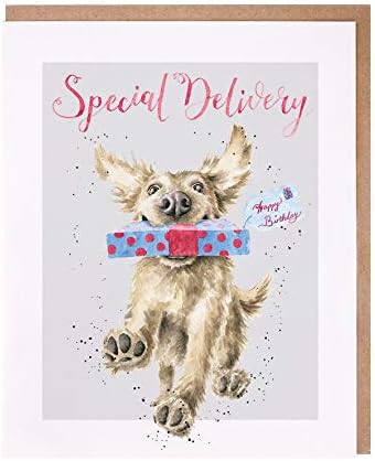 Wrendale Designs Party Animals Birthday Greeting Card - SPECIAL DELIVERY by Wrendale Designs