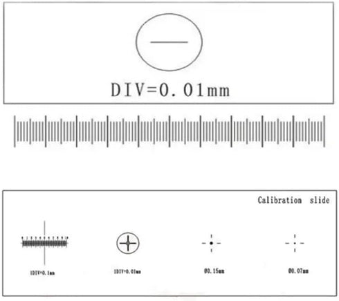 4 Scales Microscope Stage Micrometer Slide, Optical Glass Measuring Tool for Biological and Stereo Video Measurements