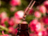 GreenHealth Amber Glass Bottle - 4 fl oz with Glass Dropper, Single