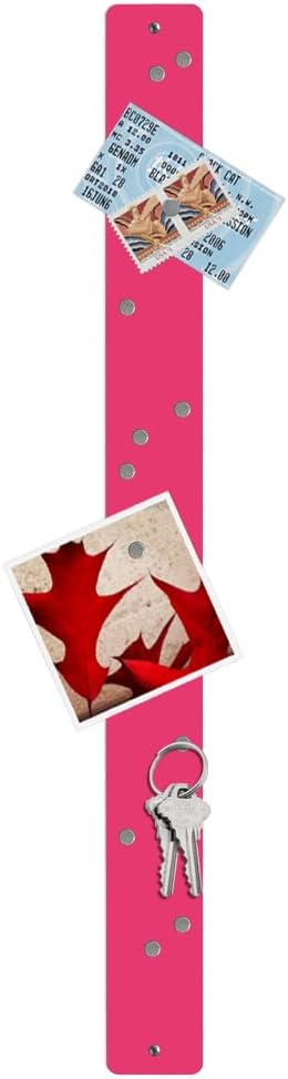 Three by Three Seattle 28 x 2.5 Inch Metal Strip Frameless Magnetic Bulletin Board with 12 Magnets