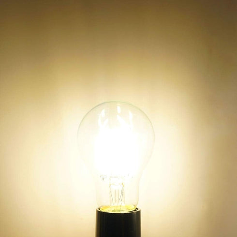 DC 12V-24V Low Voltage Input LED Bulb, Classic A19 Style, 6W 600Lm, Dimmable E26 Medium Base, 2 Pack