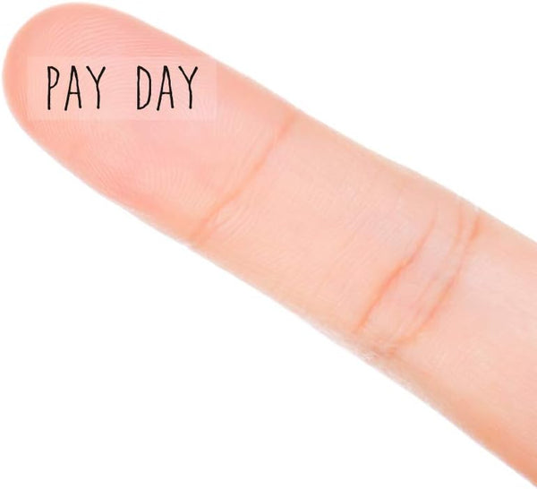 Pay Day Monthly Planner Stickers, 120 Clear Reminder Labels for Calendar Scrapbooking Crafting
