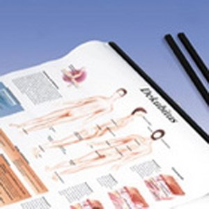 3B Scientific GmbH VR999B Plastic Rod for VR Charts 2 Plastic Rods (50 cm)