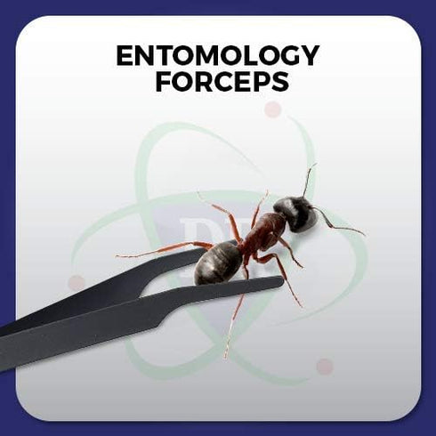 DR Instruments Set, Set 2. Entomology Forceps One Long Points and One Short Broad Points Forcpes. Ideal for a delegate