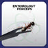 DR Instruments Set, Set 2. Entomology Forceps One Long Points and One Short Broad Points Forcpes. Ideal for a delegate