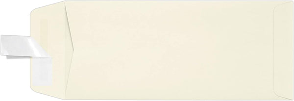 LUXPaper #10 Policy Business Envelopes, Peel & Press, 50 Qty, Natural