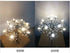2W G9 Bulb Dimmable Bulbs 20W 3000K G9 300LM 3 Pack Mini Globe Crystal LED Light COB Incandescent Equivalent Warm White