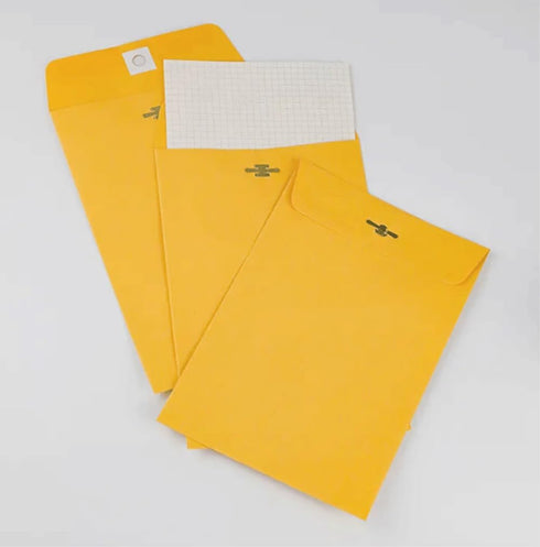 Clasp Brown Kraft Envelopes, 6" x 9", 12 Count