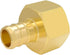 Hooshing 1/2" Pex Female Adapter, PEX 1/2 Inch to 1/2 Inch Female NPT, Pack of 6