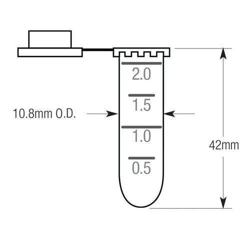 Globe Scientific 111568 Polypropylene Graduated Microcentrifuge Tube, Snap Cap, Round Bottom, Natural, 2mL Capacity,