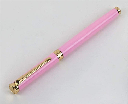 Dryden Designs Fine Nib Fountain Pen - Includes 24 Ink Cartridges (12 Black and 12 Blue) - Smooth Elegant Writing