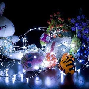 XINKAITE 30 Micro LEDs on 10Feet/3M Fairy Silver Wire, Battery Operated String Lights, Cold White