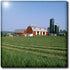 3dRose US33 MGI0074 6 Inch New York, Finger Lakes, Dairy Farm, Cayuga Lake - - Mark Gibson Ceramic Tile