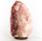 Natural Himalayan Salt Lamp (46 lbs) Hand-Carved Crystal Rock Lamp for Home,