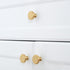 SANCHAKOU 6 Pack Dresser Drawer Pulls Bedside Table Wardrobe Brass Handle Furniture Cabinet Drawer Handle Single Hole