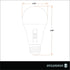 A19 Bulb, 9W 60W, 5 2700/3000 3500/4000 5000K, Dimmable, 800 (42109) 2 Count (Pack 1) Sylvania TruWave LED Light = CCT