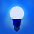 Xtricity LED A19 Blue Light Bulbs, 5W A19/5W/B/LED (40W Equivalent), E26 Medium Base, 120V, Blue, Porch, Holiday