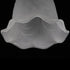Stgfyxgs Set 2 E27 4, of Shades for Ceiling Fans and Wall Sconces, Multi
