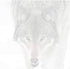 Wolf Face Sticky Notes - Set of 3 - Wildlife Animal Theme Design - Stationery Gift - Paper Memo Pad - Office Business School Supplies