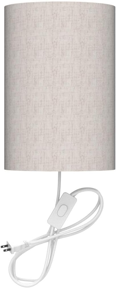 3 Set Plug in Wall Sconce, Color Wall Sconces of Two, Industrial Lamp with Plug in Cord, Rustic Wall Sconce Fixture