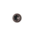 Composite Decking Stainless Steel Wood Screw, 10x2-1/2",Star Drive,Torx 20, Type 17 Slot Point,Wood Screw,1 Free Bit Included (#10x2-1/2", Dark Brown, 75)