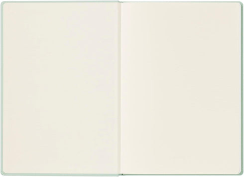Maruman MNEMOSYNE A5 Journal Notebook, 8.5 x 6.02 Inches, 120 Pages, Mint Green, Hard Cover