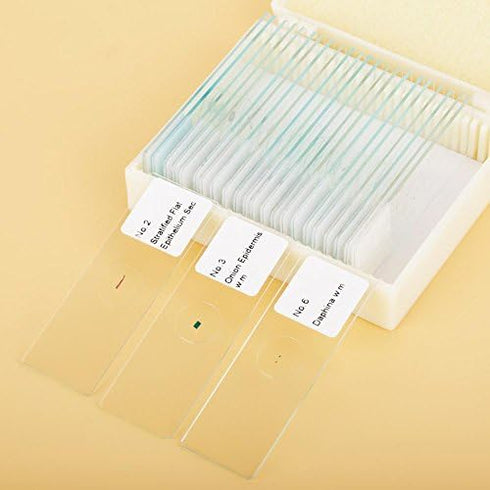 Prepared Microscope Slides 25pcs, Biology Glass Lab Specimens for Basic Science Education with Labels and Case