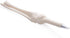 EOM 4pcs White Bone Ball Pen Gift for Nurse Radiographer, Femur Finger Spine Tibia Fibula Crazy Stationery Student Kid