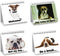 Funny Dog Desk Signs for Office | Ideal Gifts for Dog Lovers | Perfect Desk Decor & Accessories