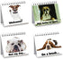 Funny Dog Desk Signs for Office | Ideal Gifts for Dog Lovers | Perfect Desk Decor & Accessories