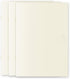 Midori 15305006 Notebook, MD Notebook, Light, A5, Square Ruled, Set of 3, A by Designphil