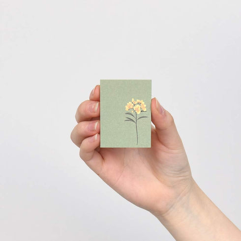 Monolike The Flower Sticky-It, 5p Set, Self-Adhesive Memo Pad, 50 Sheets