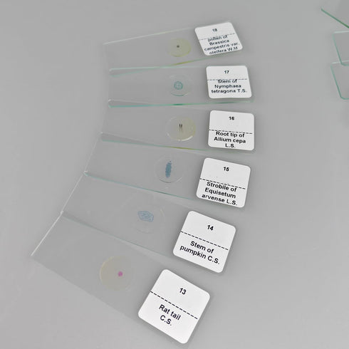 GEEFUNTECH 30 Pcs Microscope Slides Prepared Biology Specimen Lab Sample with Insects Plants Science Learning Home