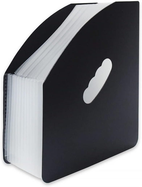 SAYEEC Rainbow Expanding File Holder, A4 Vertical Mini Organizer with 13 Pockets for Office and Study