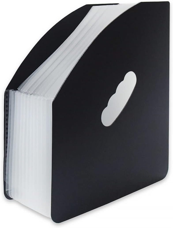 SAYEEC Rainbow Expanding File Holder, A4 Vertical Mini Organizer with 13 Pockets for Office and Study