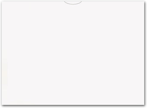 Plain Blank Vehicle Deal Envelopes 9x12 Deal Jackets (100 Shrink Wrapped) in White