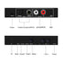 Dingsun Optical to RCA Converter, Digital to Analog Audio Converter with Volume Control, Remote Included