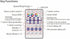 DARKPROOF WS2812B WS2811 SK6812 (1) LED Pixel Light WiFi Bluetooth IR Remote Combine Controller for Addressable RGBIC