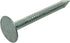 Grip-Rite 114EGRFG5 1-1/4-Inch Electro-Galvanized Roofing Nails, 5 Pounds