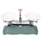 Balance Scale, 100g or 500g Double Pan Balance Scale with Weights, High Calibration Accuracy for Lab Experiments