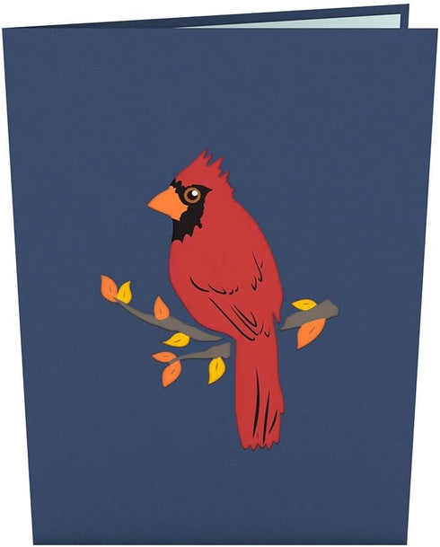 Lovepop Everyday Pop-Up Card, 3D Thinking of You Greeting Card for Her and Him - 5" x 7" Blank Note Card